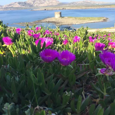 Cala Reale Fronte Mare Villa Stintino